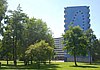 0654 Bijlmermuseum, Gravestein en Geldershoofd
